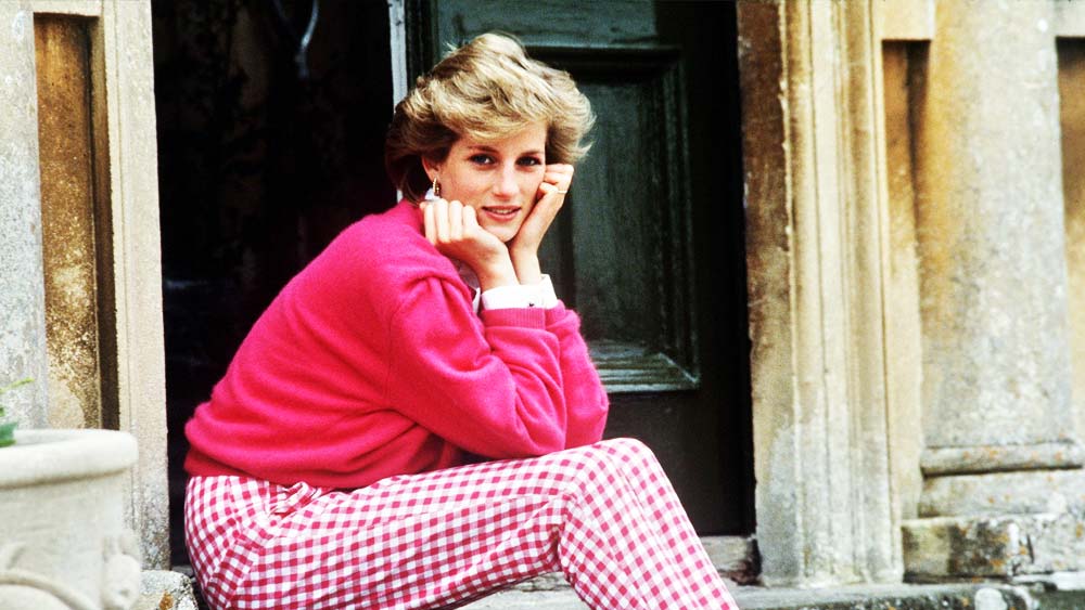 পুলিশি তদন্তে জানানো হয়, গাড়ির চালক অত্যন্ত জোরে গাড়ি চালাচ্ছিলেন। তিনি মাদকাসক্ত ছিলেন বলে জানিয়েছিল পুলিশ। কিন্তু অনেকের ধারণা, ডায়নার মৃত্যু পথদুর্ঘটনায় নয়, পূর্বপরিকল্পিত। রাজপরিবারের সদস্যরা নিজেদের বাঁচাতে পথদুর্ঘটনা হিসাবে ঘটনাটি সাজিয়েছেন।