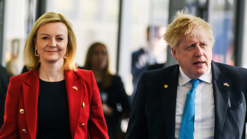 ২০১০ সালে কনজারভেটিভ নেতা তথা ব্রিটেনের প্রাক্তন প্রধানমন্ত্রী ডেভিড ক্যামেরনের প্রার্থী তালিকার প্রথম দিকেই ছিল লিজের নাম। প্রথম দিকে প্রাক্তন প্রধানমন্ত্রী টেরেসা মে-র আস্থাভাজন থাকলেও মে পদত্যাগ করার পর পরবর্তী প্রধানমন্ত্রী বরিস জনসনের আস্থাভাজন হয়ে ওঠেন তিনি।