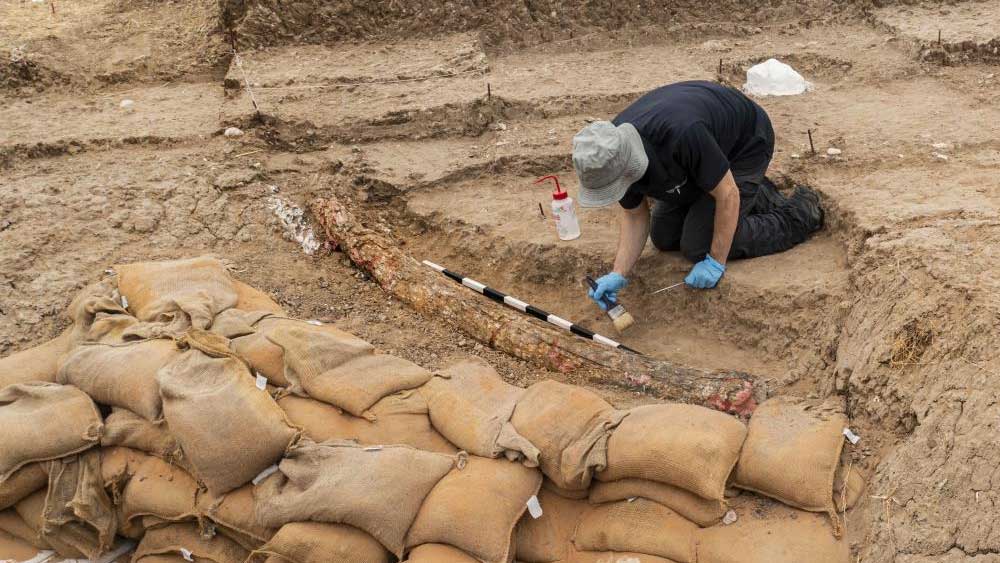 ইজরায়েলের দক্ষিণাংশে রেভাডিম গ্রামে প্রত্নতত্ত্ববিদেরা খননকার্য চালাচ্ছিলেন অনেক দিন ধরেই।