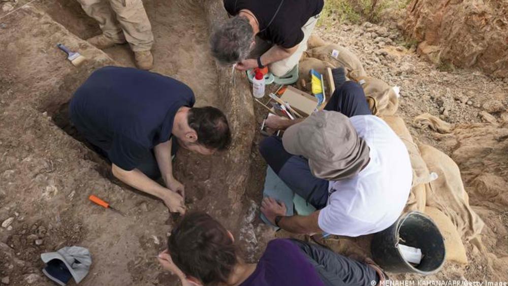 এই খননকার্যের পরিচালনায় ছিল ইজরায়েল অ্যান্টিকুইটিজ অথরিটি (আইএএ)।