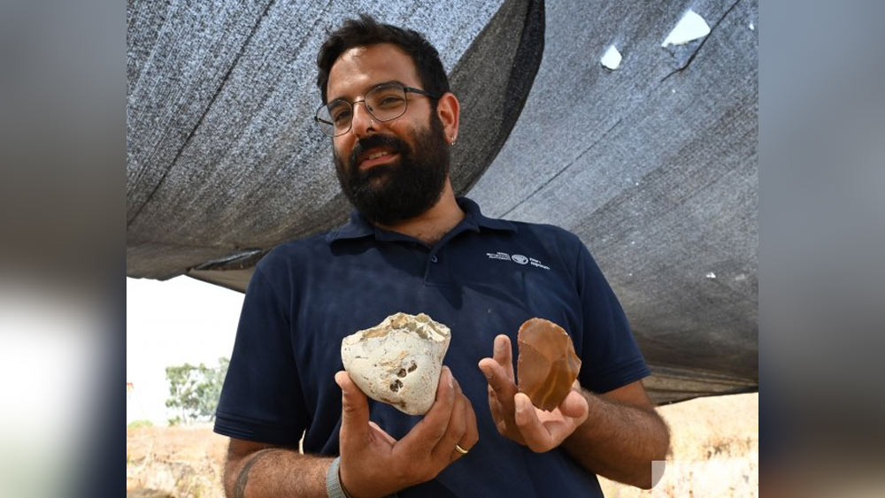 হাতির দাঁতের আশেপাশে হাতিয়ারের ভাঙা টুকরোও চোখে পড়েছে। প্রাচীনকালে এই ধরনের হাতিয়ার জন্তুদের গায়ের চামড়া তোলা থেকে শুরু করে তাদের মাংস কাটার জন্য ব্যবহার করা হত।
