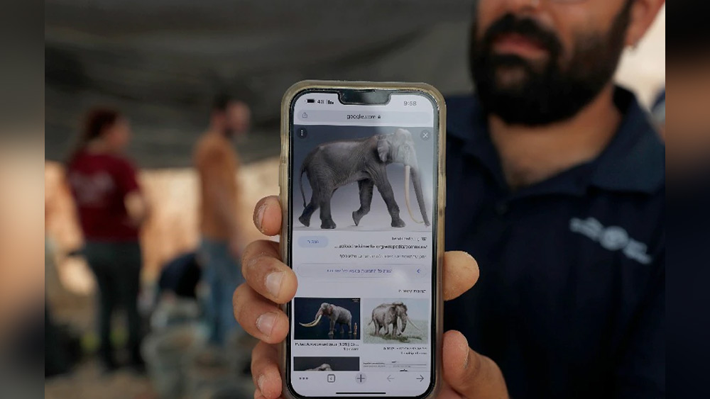 দাঁতের আশপাশে খননকার্য চালানো হলেও জনবসতির কোনও চিহ্ন পাওয়া যায়নি।