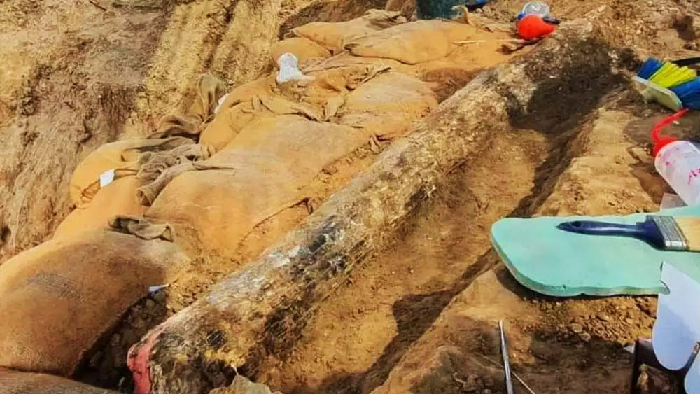 সেই সময় শিকারীরা এক জায়গা থেকে অন্য জায়গায় যাওয়ার আগে হাতির দাঁত নিয়ে কোনও সামাজিক আচার পালন করত বলেও অনুমান বিজ্ঞানীদের।