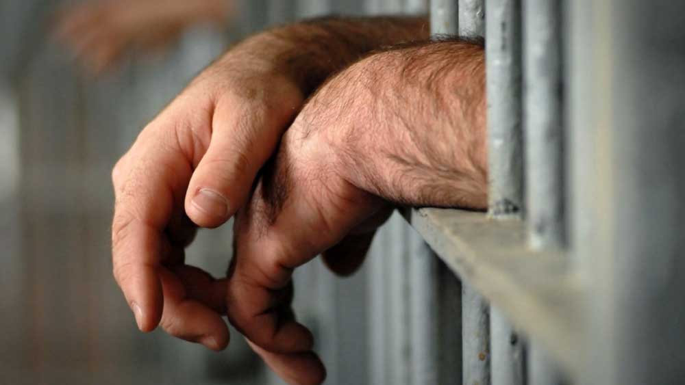  মাথায় ১৮১টি মামলার বোঝা। নিজামউদ্দিন থানায় একটি মামলায় তার পাঁচ বছরের জেল হয়। তা সত্ত্বেও তাঁর গাড়ি চুরি বন্ধ হয়নি।