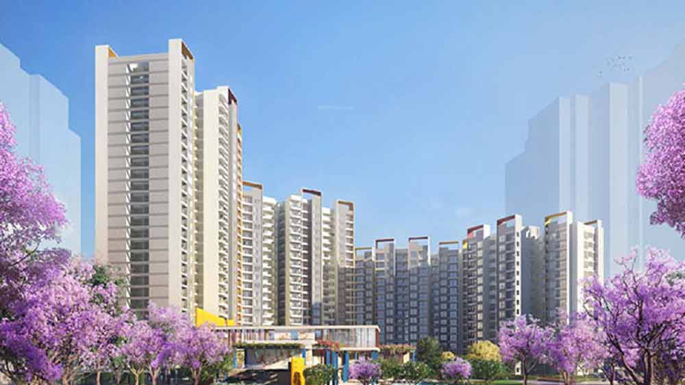 রিয়েল এস্টেট, ভোগ্যপণ্য থেকে সৌরশক্তি— বিভিন্ন ব্যবসায়িক ক্ষেত্রে আধিপত্য বিস্তার করেছে সাপুরজি-পালোনজি গোষ্ঠী। ৫০টিরও বেশি দেশে এই গোষ্ঠীর ব্যবসা রয়েছে। কর্মীর সংখ্যা ৫০ হাজারেরও বেশি।