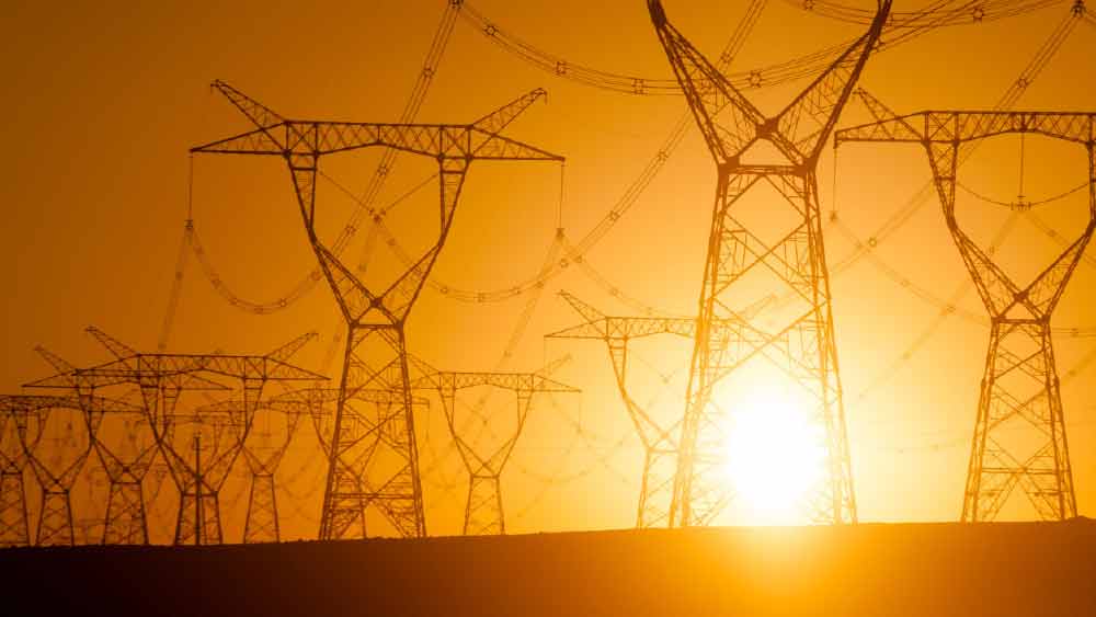 মোদী বলেছেন, ‘‘আমরা তথ্য প্রযুক্তি, মহাকাশ বিজ্ঞান নিয়ে সহযোগিতার পাশাপাশি পরমাণু শক্তির মতো বিষয় অর্থাৎ তরুণ প্রজন্ম যা নিয়ে বেশি ভাবে, সে ব্যাপারে পারস্পরিক সহযোগিতার কথাও ভেবেছি। এ ছাড়া ভারত এবং বাংলাদেশের  মধ্যে ‘পাওয়ার ট্রান্সমিশন লাইন’ নিয়েও কথাবার্তা এগিয়েছে।’’