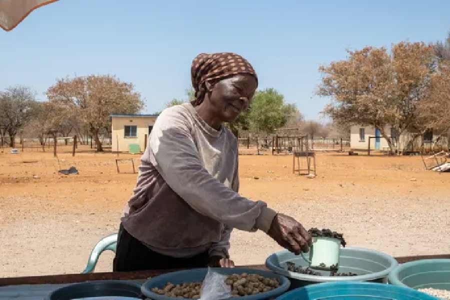 কীটপতঙ্গ চাষ করতে জল কম লাগে।