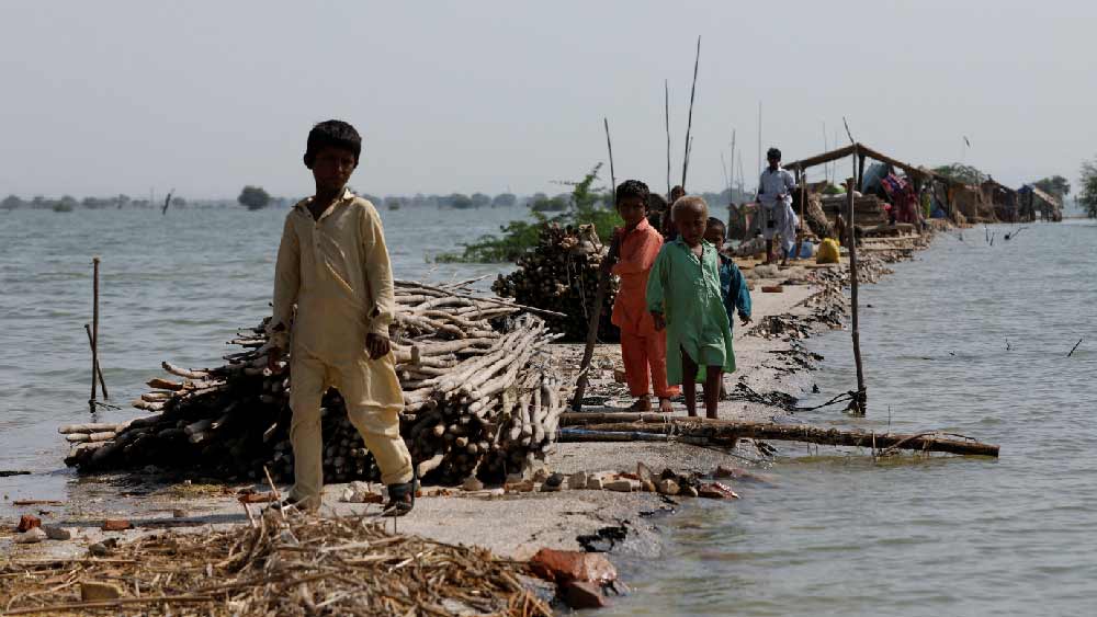 ঐতিহাসিক ধ্বংসাবশেষে জল জমার সমস্যার কথাও উল্লেখ করা হয়েছে ওই চিঠিতে। স্থানীয় কিছু সমস্যার কারণে যে ঐতিহাসিক স্থান থেকে জল নিষ্কাশনের পরিপূর্ণ বন্দোবস্ত করা যায়নি। এর জেরে ব্যাপক বৃষ্টিতে জল জমে রয়েছে ওই এলাকায়।