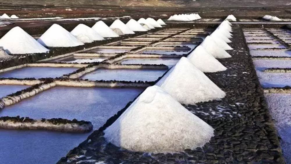 লবণের খনিগুলি একে একে ধ্বংস করতে থাকে ইউনিয়ন। এর ফলে বাজারে লবণের অভাব দেখা দেয়।