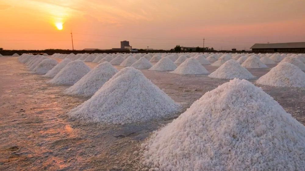 পেশা বিশেষে লবণের দামও বদলাতে থাকে। সাধারণ পরিবারের কেউ চার গ্যালন লবণ কিনতে চাইলে তাদের আড়াই ডলার দিতে হত।