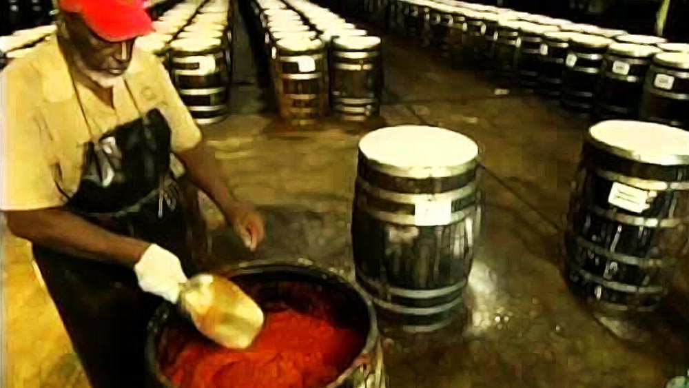 লুইজিয়ানার আভেরি দ্বীপপুঞ্জ লবণ উৎপাদনের প্রধান খনি ছিল। সেই খনিও ধ্বংস করে দেওয়ায় সেই খনির ম্যানেজার এডমান্ড ম্যাকলেনি ওই জমিতে মরিচের চাষ করতে শুরু করেন।