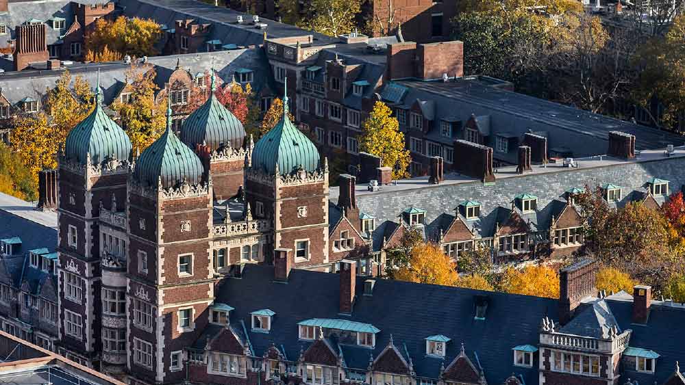 ইউনিভার্সিটি অব পেনসিলভেনিয়া থেকে জার্মান ভাষা এবং ইন্টারন্যাশনাল স্টাডিজ-এ স্নাতকোত্তর ডিগ্রি অর্জন করেছেন নরসিমহান। ওই বিশ্ববিদ্যালয়েরই ওয়ারটন স্কুল থেকে ফিন্যান্সে এমবিএ-ও করেছেন।