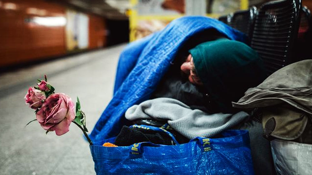 তবে, তাঁর এই যাত্রা খুব একটা সহজ ছিল না। ডেভিডের মা মানসিক রোগে ভুগছিলেন। দুই ভাইবোনের দায়িত্বও ছিল তাঁর উপর। পরিবার-সহ নিউ ইয়র্ক শহরের রাস্তায় দিন কাটাতেন তিনি।