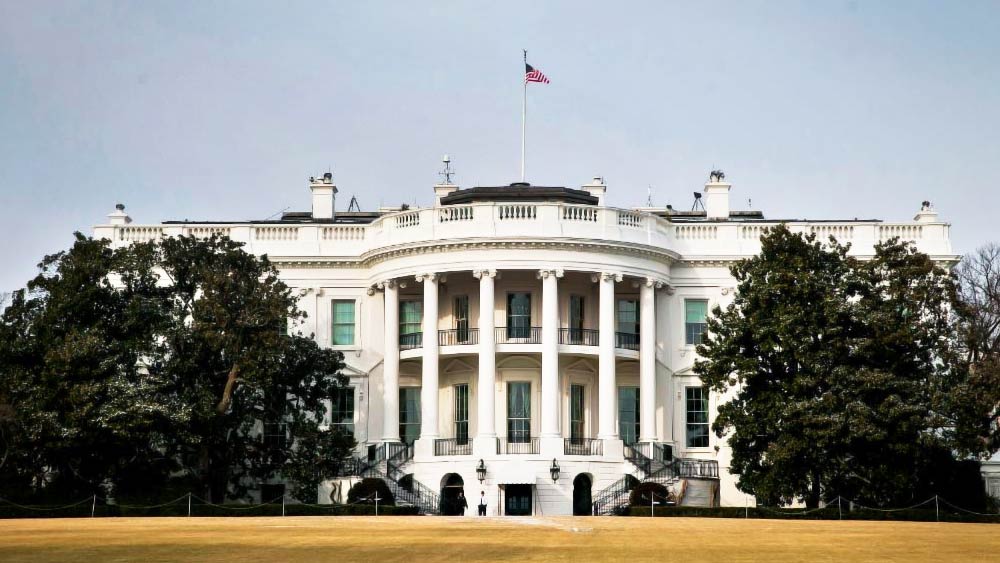 কলেজে পড়াশোনার পাশাপাশি তিনি সামান্য রোজগারের জন্য বহু জায়গায় চাকরিও করেছেন। সেই সময় হোয়াইট হাউসে ইন্টার্নশিপও করেন ডেভিড।