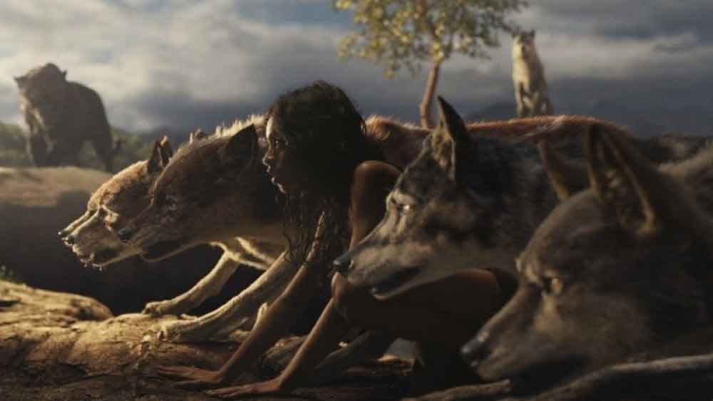 শিকারিরা দাবি করেছিলেন, এক দল নেকড়ের মাঝে ওই মানবশিশুকে দেখতে পেয়েছিলেন তাঁরা। চার হাত-পায়ে নেকড়ের মতোই হাঁটছিল সে। নেকড়েদের মাঝে মানবশিশুকে দেখে হতবাক হয়ে গিয়েছিলেন তাঁরা।