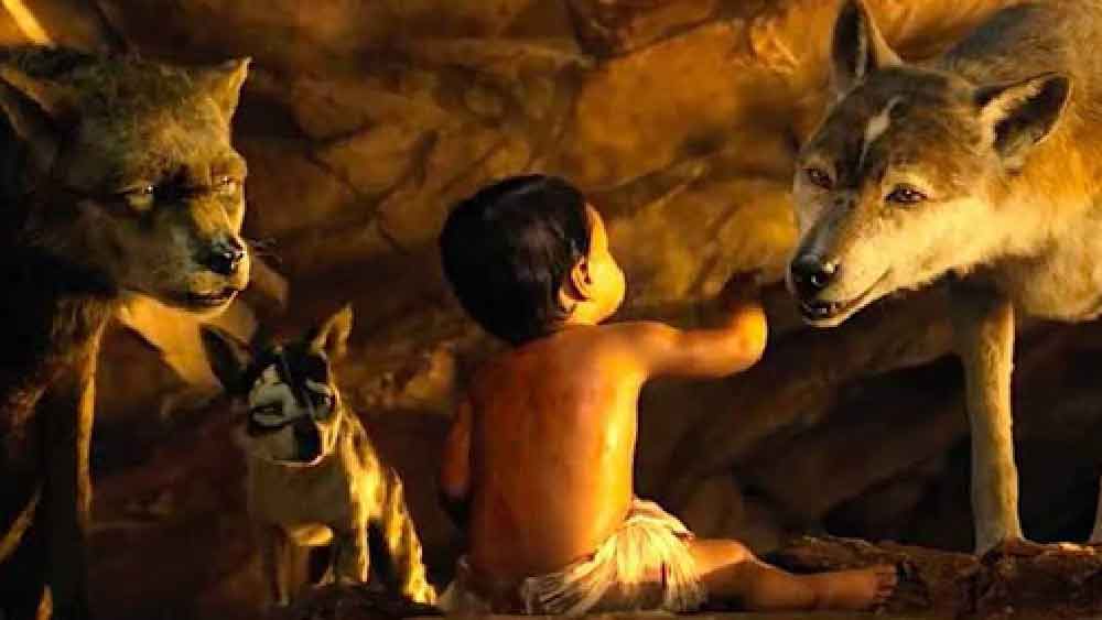 শিকারিরা প্রথমে নেকড়েদের গুহায় আগুন ধরিয়ে দেন। তাতে ভয় পেয়ে গুহা ছেড়ে পালায় নেকড়ের দল। তার পরই মানবশিশুটিকে উদ্ধার করেন তাঁরা।