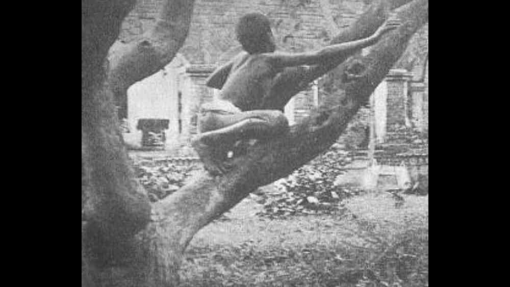 সেই অনাথ আশ্রমেই ওই মানবশিশুর নামকরণ হয় দিনা সানিচর। কিন্তু সানিচরকে মানুষের আদবকায়দা শেখানো বড় কঠিন কাজ হয়ে দাঁড়িয়েছিল। পোশাক পরতে চাইত না। ভাষা বোঝা দূর অস্ত্‌, হাড়ে ঘষে দাঁত ধার করত সে। আর খাবারের মধ্যে শুধু মাংসই খেত।