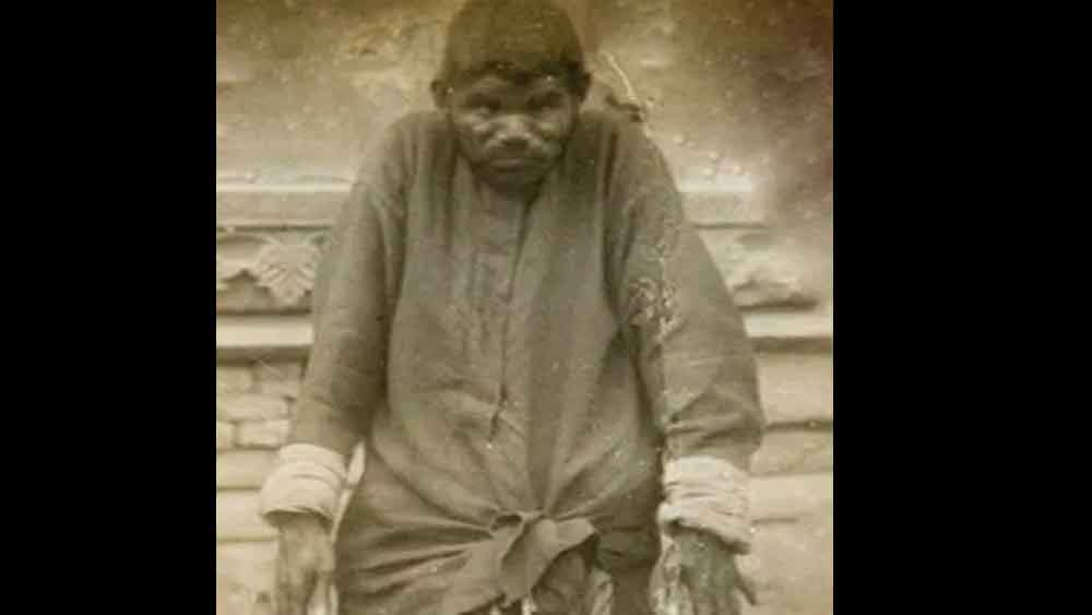 ওয়েন ডেনিস নামে এক শিশু মনোবিদ দিনাকে নিয়ে গবেষণা করেন। ১৯৪১ সালে আমেরিকান জার্নাল অব সাইকোলজি-তে তিনি লিখেছিলেন যে, মানুষের সংস্পর্শে কোনও দিনই আসেনি দিনা। শুধু তাই-ই নয়, শীত, গ্রীষ্ম কোনও কিছুই তাঁর শরীরে প্রভাব পড়ত না।