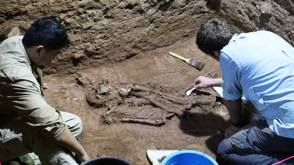 বিশ্বের প্রাচীনতম অঙ্গচ্ছেদ অস্ত্রোপচারের খোঁজ পেলেন প্রত্নতত্ত্ববিদরা। ৩১ হাজার বছর আগে এক ব্যক্তির দেহে অস্ত্রোপচারের মাধ্যমে অঙ্গচ্ছেদ করা হয়েছিল, ইন্দোনেশিয়ায় সেই কঙ্কাল খুঁজে পাওয়া গিয়েছে বলে দাবি করেছেন এক দল প্রত্নতত্ত্ববিদ। তাঁদের দাবি, অস্ত্রোপচার করে ওই ব্যক্তির বাঁ পায়ের পাতা বাদ দেওয়া হয়েছিল।