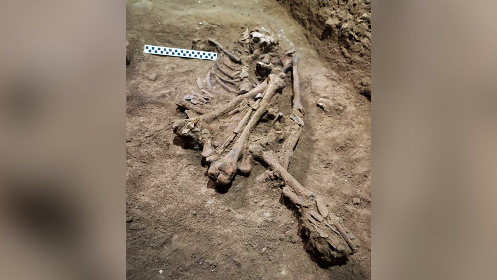 সংবাদ মাধ্যম সূত্রে খবর, ইন্দোনেশিয়ার বোর্নিয়োর একটি প্রাচীন গুহায় ওই কঙ্কালটি পাওয়া গিয়েছে। কঙ্কালটি এক প্রাপ্তবয়স্ক যুবকের বলে অনুমান। 