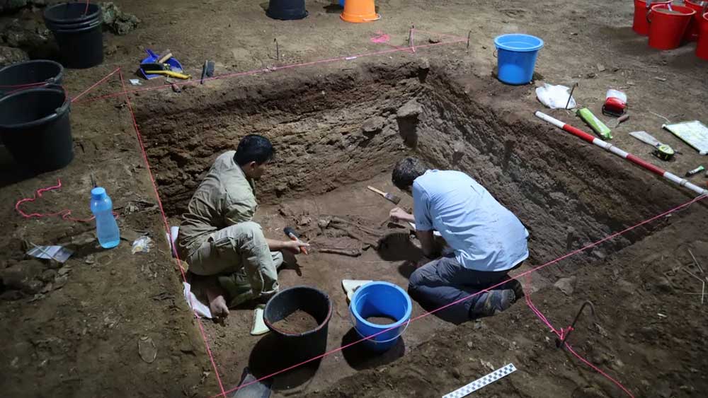 জানা গিয়েছে, বোর্নিয়োর ঘন জঙ্গলের ওই গুহা থেকে পাওয়া কঙ্কালটি মাথা থেকে পা পর্যন্ত একেবারে অক্ষত অবস্থায় পেয়েছেন প্রত্নতাত্ত্বিকরা। কেবল তাঁর বাঁ পায়ের পাতা ছিল না। 