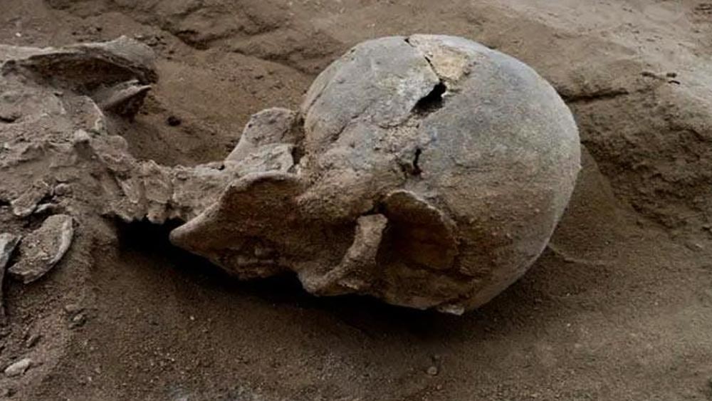 মনে করা হচ্ছে, কোনও ধারালো পাথরের যন্ত্র দিয়ে পায়ের ওই অংশ কাটা হয়েছিল। সংক্রমণ আটকানো হয়েছিল উচ্চ আয়ুর্বেদিক গুণ সম্পন্ন কোনও উদ্ভিদের সাহায্যে।