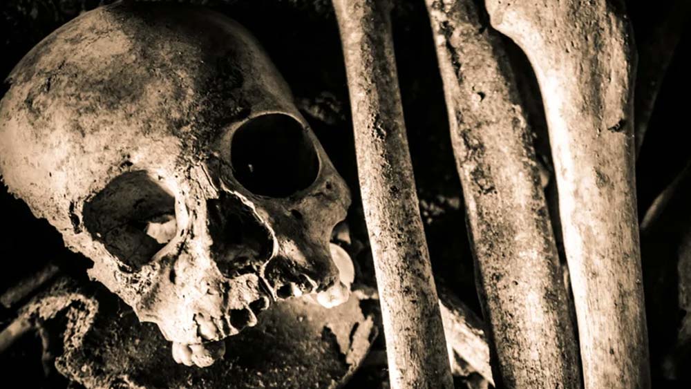 কর্মীদলের এক সদস্য জানান, নকল কঙ্কাল তখন এত সহজে কিনতে পাওয়া যেত না। দামও হত প্রচুর। তাই প্রোডাকশন হাউসের তরফে আসল কঙ্কাল বিক্রি করে, এমন সংস্থার সঙ্গে যোগাযোগ করা হয়।