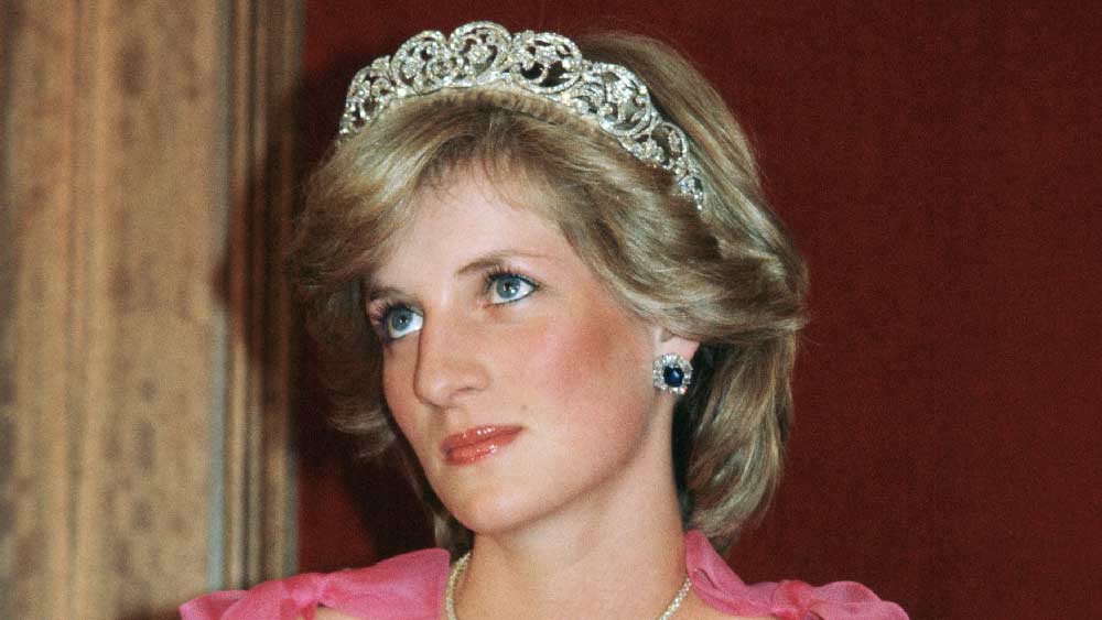 যদিও রাজকুমারী পরে জানিয়েছিলেন, রাজপরিবারের তরফে তিনি যে উপহারগুলি পেয়েছেন সেগুলির মধ্যে এই হিরে-মুক্তো খচিত ‘লাভার’স নট’ খুব প্রিয়।