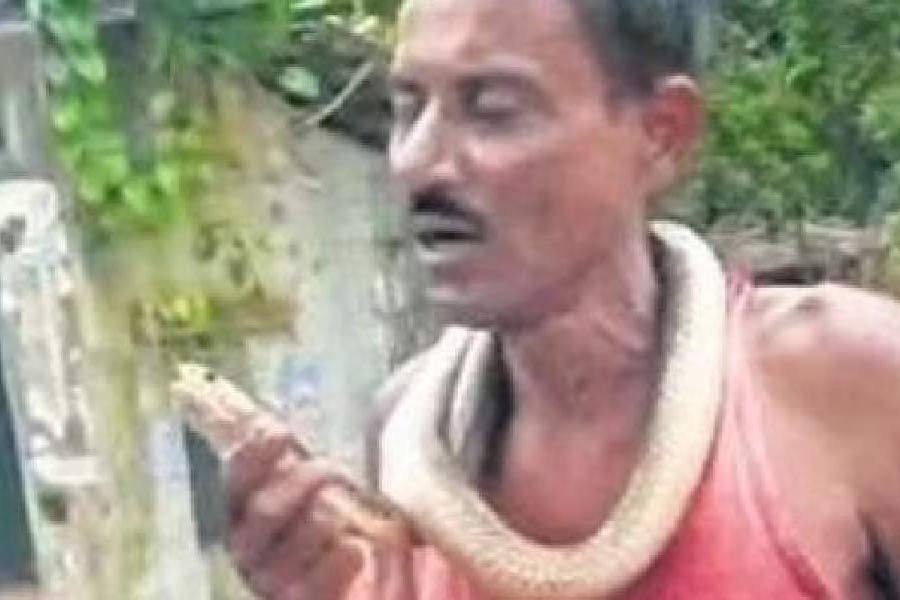 গলায় সাপ জড়িয়ে গ্রাম পৌঁছন সলিল।
