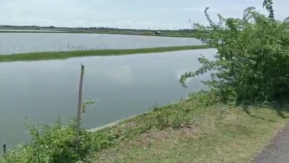 গত ২৫ অগস্ট হাড়োয়া থানার আওতায় কুলটি গ্রাম পঞ্চায়েত এলাকায়  নয়ানজুলি থেকে উদ্ধার করা হয় অভিষেকের দেহ। এর আগে, গত ২৩ অগস্ট ন্যাজাট থানা এলাকা থেকে উদ্ধার হয় অতনুর দেহ।