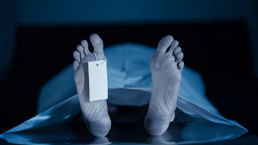 গত ২৪ অগস্ট অভিযোগ পাওয়ার পর ১৩ দিন কেটে গেলেও দুই ছাত্রের হদিস পায়নি পুলিশ। অভিযোগ, ১০-১২ দিন বসিরহাট মর্গে পড়ে ছিল দুই ছাত্রের দেহ। এত দিন মর্গে দেহ পড়ে থাকার পরও কেন পুলিশের জানতে দেরি হল, তা নিয়ে নানা প্রশ্ন উঠেছে। গত ৬ সেপ্টেম্বর, মঙ্গলবার প্রথম বার সংবাদমাধ্যমে এই খবর প্রকাশ্যে আসে। তার পরই হইচই পড়ে যায়।