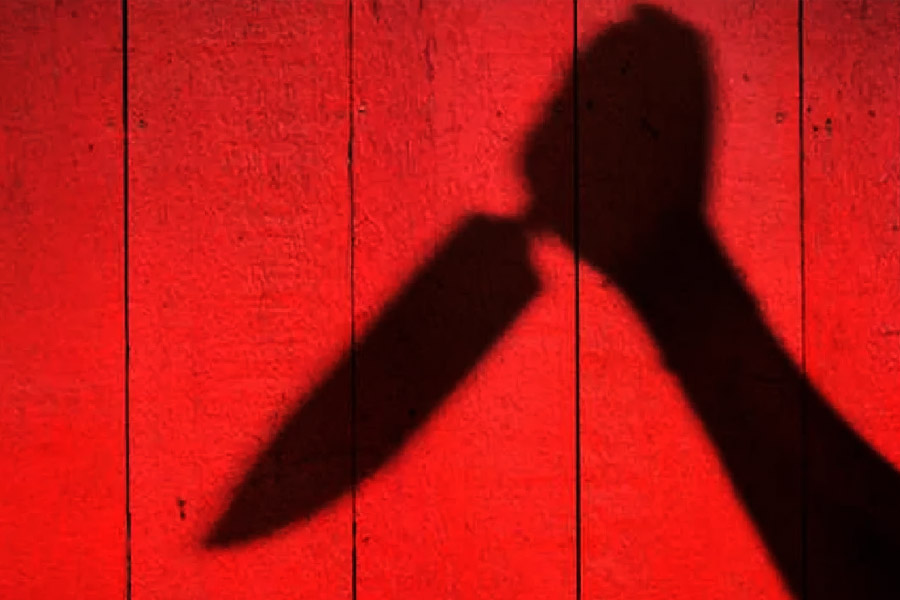 জুনে মেয়ের মৃত্যু হয়েছিল। তার পর ভেঙে পড়েছিলেন মারিয়া। সেই থেকে ফেরার ছিল মেয়ের সঙ্গীও। এক মাসের মাথায় জুলাইয়ে, এক দিন মারিয়ার ওপর ধারালো অস্ত্র নিয়ে ঝাঁপিয়ে পড়ে সেই তরুণ, যে ছিল তাঁর মেয়ের সঙ্গী। জোরে জোরে কোপ মার। যদিও শেষ পর্যন্ত প্রাণ বাঁচে মারিয়ার।