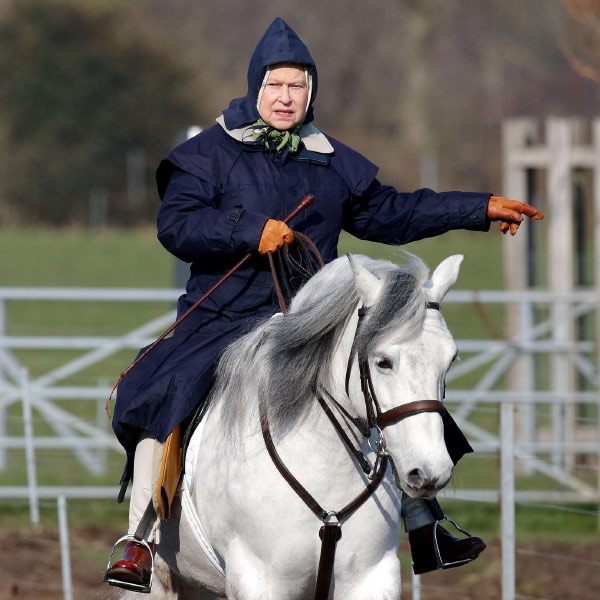চার— ঘোড়ায় চড়া পছন্দ করতেন রানি। অনেক বৃদ্ধ বয়সেও তাঁকে ঘোড়ায় চড়ে বাকিংহামের বাগানে ঘুরতে দেখা গিয়েছে। তবে ঘোড়ায় চড়ার সেই শখের শুরু রানির চার বছর বয়সে। দাদু, ব্রিটেনের রাজা পঞ্চম জর্জ ছোট্ট লিলিবেথকে তাঁর প্রথম ঘোড়া উপহার দিয়েছিলেন। হবু রানি আদর করে সেই ঘোড়ার নাম রেখেছিলেন ‘পেগি’। 
