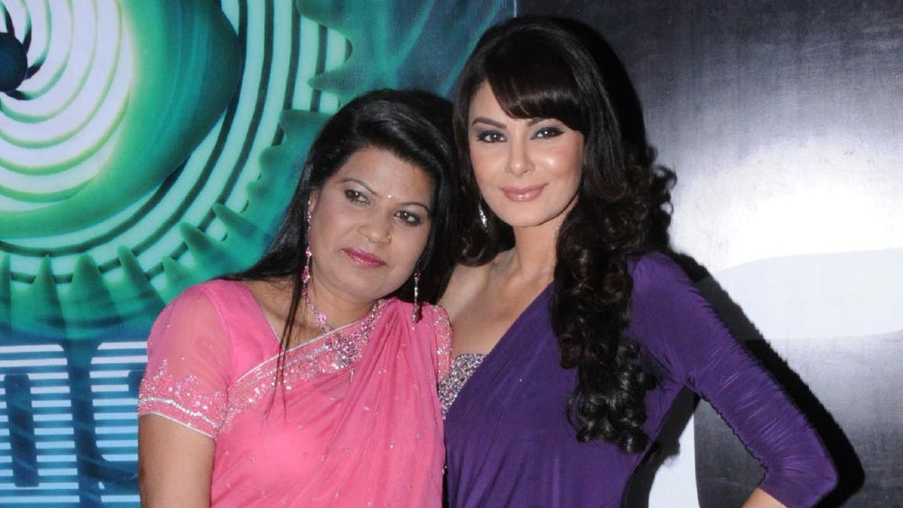 সমাজবাদী পার্টিতে যোগ দেওয়ার পর পরই ১৫টি অপরাধের মামলা থেকে রেহাই পান সীমা। জামিন পান ১৪টি মামলায়। ২০১১ সালে রাজ্যের দুর্নীতি পরিষদের মহিলা সেলের অধ্যক্ষের পদে নিযুক্ত করা হয় তাঁকে। জেল থেকে ছাড়া পাওয়ার পর সীমার চরিত্রের আধারে ‘উন্ডেড’ নামে একটি ছবি তৈরি করা হয়। মুখ্য চরিত্রে ছিলেন সীমা নিজেই। ছবিটি মুক্তি পাওয়ার তিন বছর পর ২০১০ সালে রিয়ালিটি শো ‘বিগ বস সিজন-৪’-এ প্রতিযোগী হিসাবে অংশ নেন সীমা। চম্বলের এক কুখ্যাত ডাকাত থেকে ‘বিগ বস’-এর সেটে হাজির হওয়ার বেশ নজর কেড়েছিলেন সীমা।