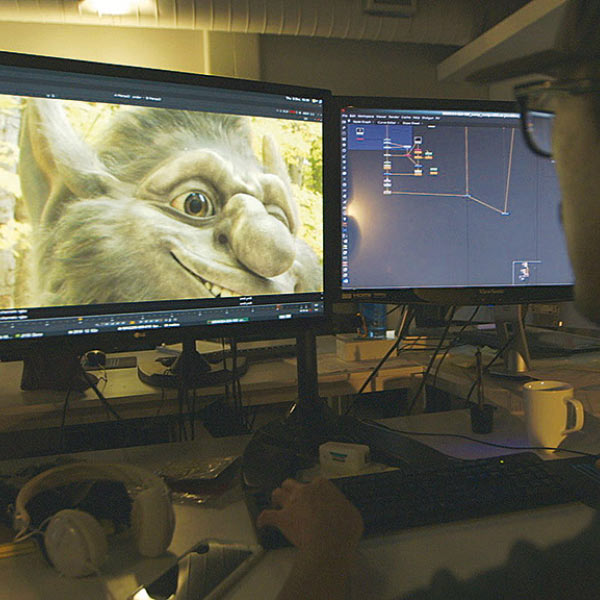 ২০১১ সালের অক্টোবরে প্রাইম ফোকাস লিমিটেডের ম্যানেজিং ডিরেক্টরের দায়িত্ব রামকি শঙ্করনারায়ণনের কাঁধে তুলে দেন অনিত। 