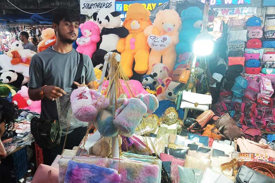 বিকোচ্ছে বিভিন্ন ধরনের হাতব্যাগ ও সাইড ব্যাগ। দাম ২০০ থেকে ৩০০ টাকার মধ্যে।