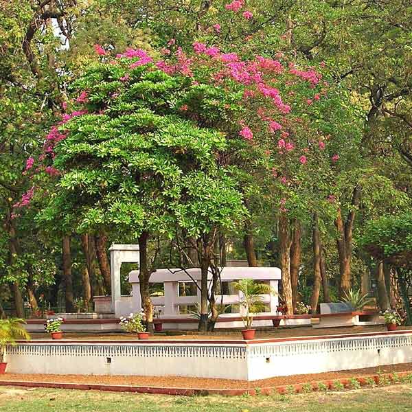  শান্তিনিকেতনের প্রাণকেন্দ্র বলা হয় ছাতিমতলাকে। রবীন্দ্র-জীবনীকারদের বিভিন্ন লেখা থেকে জানা যায়, রায়পুরের জমিদারের নিমন্ত্রণ গ্রহণ করতে যাওয়া বা ফেরার পথে এই ছাতিমতলায় অল্প ক্ষণের জন্য বিশ্রাম নিয়েছিলেন মহর্ষি দেবেন্দ্রনাথ ঠাকুর। 