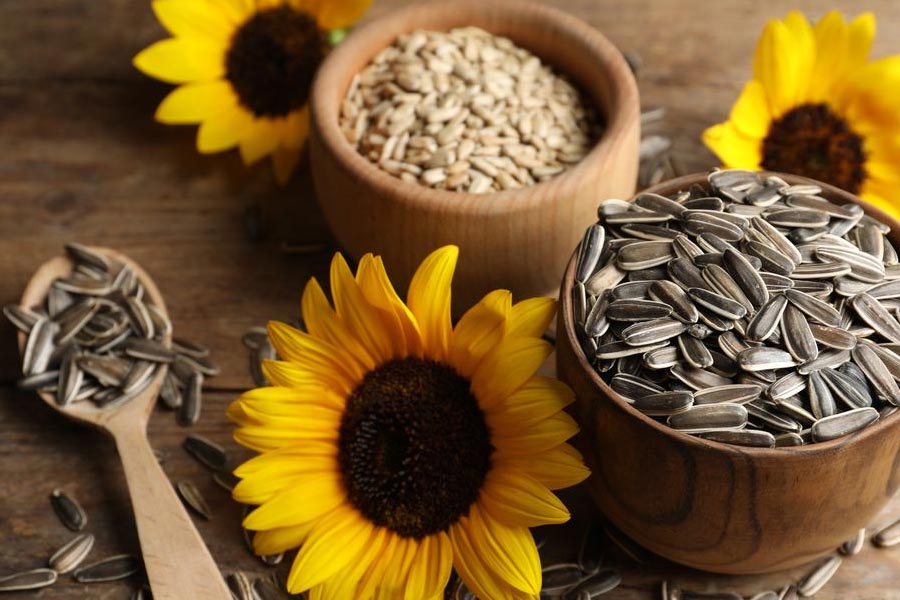 স্ত্রী বিছানায় বসে সূর্যমুখীর বীজ খাচ্ছিলেন, স্রেফ এই কারণে এক স্ত্রীর সঙ্গে তাঁর বিবাহবিচ্ছেদ হয়।