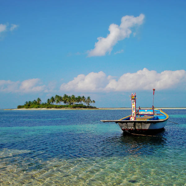 মানিকফনের গুণ সম্পর্কে তিনি অবগত ছিলেন। জাহাজ তৈরির কাজেও যে তিনি পটু ছিলেন তা জানতেন টিম। দু’জন মিলে একটি জাহাজ বানানোর পরিকল্পনা করেন।