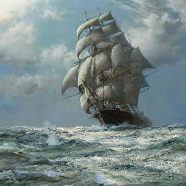 কেরলের নৌকাগুলি যে ধরনের কাঠ দিয়ে তৈরি হয়, সেই কাঠ দিয়েই তাঁরা তৈরি করলেন ৮০ ফুট লম্বা, ২২ ফুট চওড়া একটি জাহাজ। ওমানে ৩০ জনের সহায়তায় এক বছরের মধ্যে টিম ও মানিকফন জাহাজ বানানোর কাজ শেষ করেন।