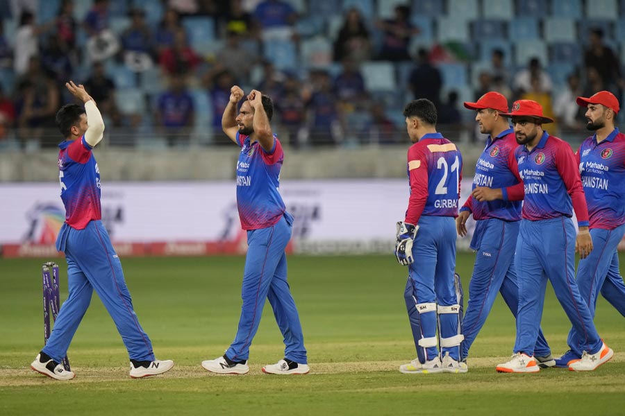 ২০২২ সালের এশিয়া কাপে আফগানিস্তান এবং বাংলাদেশের ম্যাচ চলাকালীন আফগানিস্তানের পতাকা ধরে গলা ফাটাতে দেখা গিয়েছিল এক তরুণীকে। নেটমাধ্যম তোলপাড় হয়ে যায় এই রহস্যময়ীর পরিচয় জানতে।