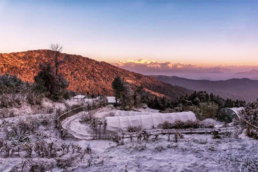 চায়ের কাপে চুমুক দিতে দিতে কাঞ্চনজঙ্ঘা দর্শন করেই কেটে যাবে দু’টি দিন।