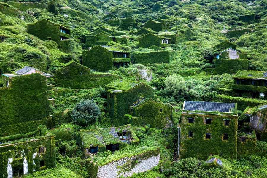 নগরায়ন প্রতিনিয়ত জঙ্গল কেটে সাফ করে চলেছে। কিন্তু কখনও শুনেছেন জঙ্গল এক আস্ত জনবসতিকে গিলে খাচ্ছে? এ যেন ঘড়ির কাঁটার উল্টো দিকে দৌড়। বইয়ের পাতায় নয়, বরং বাস্তবেই এমন ঘটনা ঘটেছে। চিনের একটি গ্রামকে ধীরে ধীরে ঘিরে ফেলেছে অরণ্য।