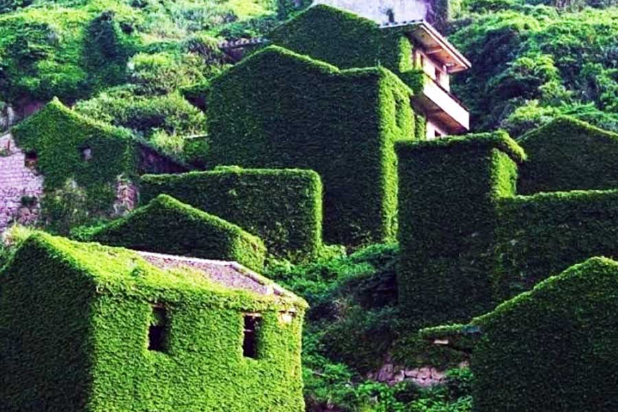 পরিত্যক্ত হউতুওয়ান গ্রামটি আবার নজরে আসে প্রায় ১৩ বছর। আবার ওই গ্রামে লোকজনের ভিড় দেখা দিতে শুরু করে। কিন্তু এর কাহিনি অন্য।