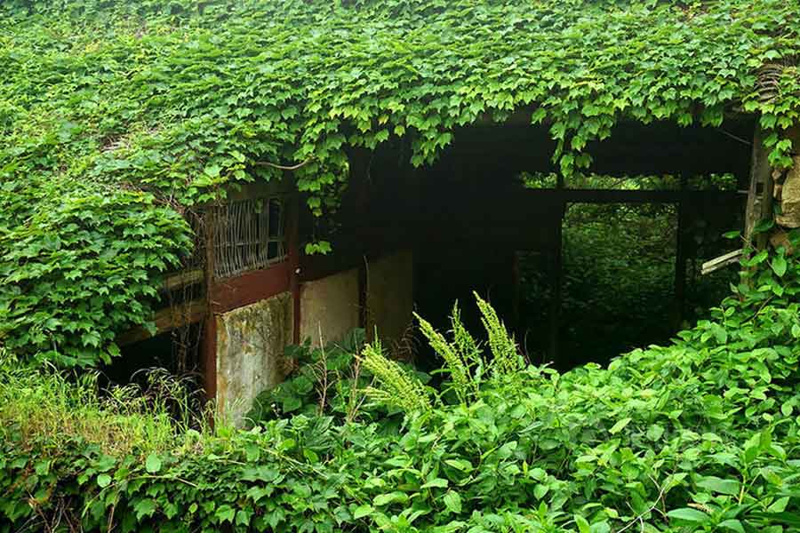 এ ছাড়াও কেউ এই গ্রাম পায়ে হেঁটে ঘুরতে চাইলে তাঁকে আট ডলার (ভারতীয় মুদ্রায় প্রায় ৬৩৫ টাকা) খরচ করে টিকিট কাটতে হয়।