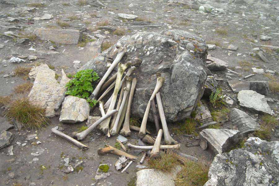 এই উত্তরাখণ্ডের ত্রিশূলেই রয়েছে রূপকুণ্ড হ্রদ। ১৬ হাজার ৪৭০ ফুট উচ্চতায় এই হ্রদের খোঁজ মিলেছিল ১৯৪২ সালে। হ্রদটির তলদেশে রয়েছে কয়েকশো নরকঙ্কাল, যা একে রহস্যময় করে তুলেছে।