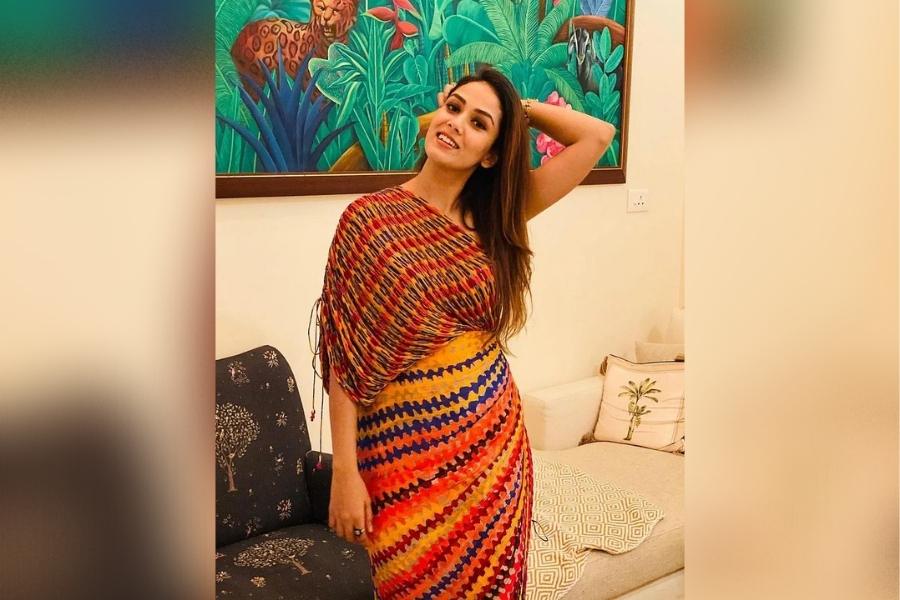 আরও একটি সুন্দর ছবির সামনে দাঁড়িয়ে মীরা। 