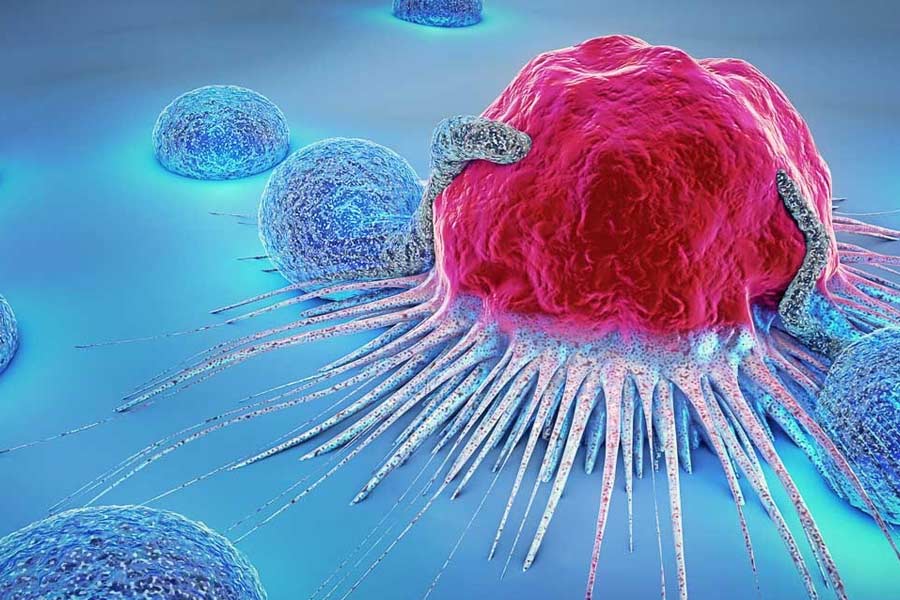 এফডিএ একটি বিষয় স্পষ্ট করে দিয়েছে যে, সামান্য পরিমাণে এন-নাইট্রোসোডিমিথাইলামাইন (এনডিএমএ) শরীরে তেমন কোনও ক্ষতি করে না। নির্দেশিকায় তারা জানিয়েছে, দীর্ঘ দিন ধরে এন-নাইট্রোসোডিমিথাইলামাইন (এনডিএমএ) খেলে তার জেরে ক্যানসার হতে পারে। এনডিএমএ রয়েছে এমন ওষুধ ৭০ বছর ধরে রোজ খেয়ে গেলেও ক্যানসার হওয়ার ঝুঁকি বাড়বে না।