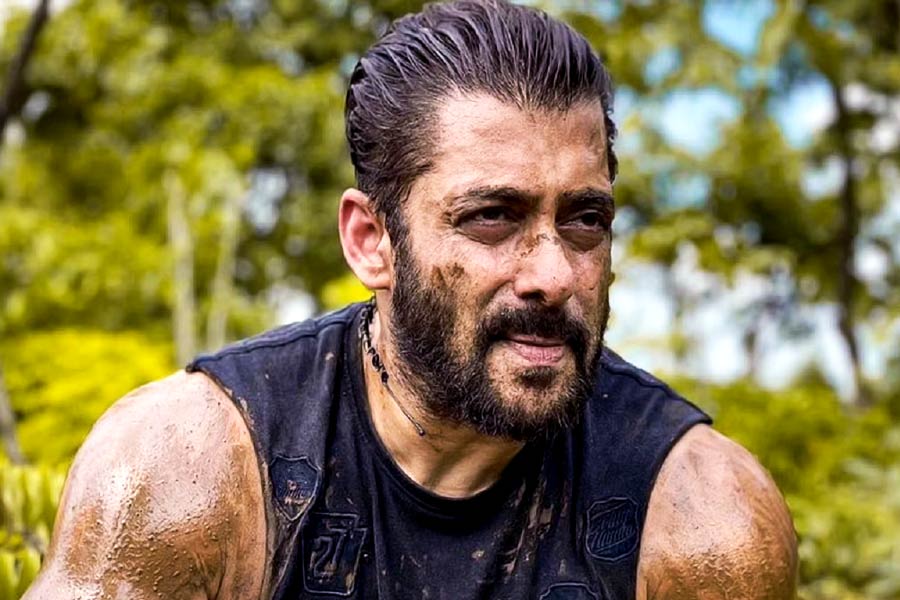 সলমন মাঝেমধ্যেই নিজের পরিবার এবং বন্ধুবান্ধবের সঙ্গে সময় কাটাতে চলে যান মুম্বইয়ের অদূরে পানভেলের খামারবাড়িতে। দেড়শো একর জমির উপর তৈরি এই খামারবাড়িটি মনের মতো করে সাজিয়েছেন অভিনেতা। জিম থেকে শুরু করে সুইমিং পুল, সামনে বিশাল সবুজে ঘেরা জমি... কী নেই এই খামারবাড়িতে! 