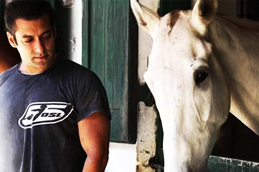 পোষ্যদের থাকার জন্য আলাদা জায়গাও রয়েছে এখানে। রয়েছে আস্তাবলও। এই আস্তাবলে পাঁচটি ঘোড়া রয়েছে। শোনা যায়, এই খামারবাড়িটি বানাতে ৮০ কোটি টাকা খরচ করেছেন সলমন।